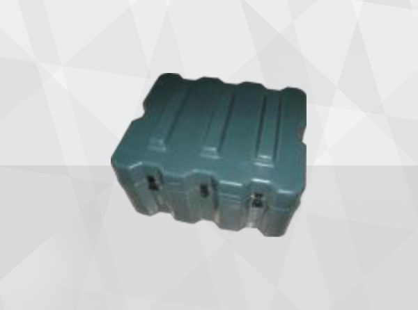 Ammunition Carry Case